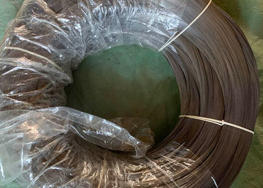 Ein guter Preis. ISO/BV galvanisierten Beschichtungs-Frühlings-Drahtring-hohen Kohlenstoff für Park-Zaun Online